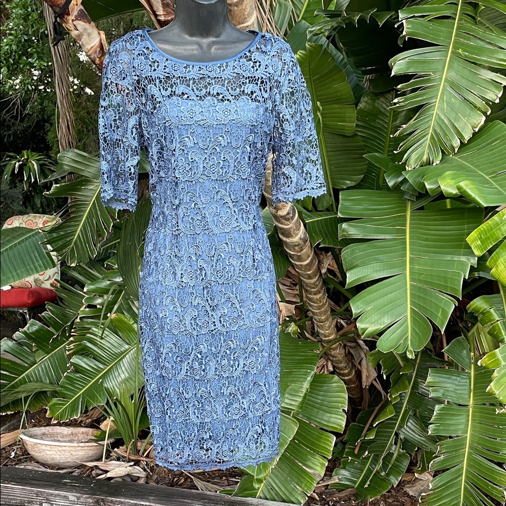 Blue lace, dress, and slip dress